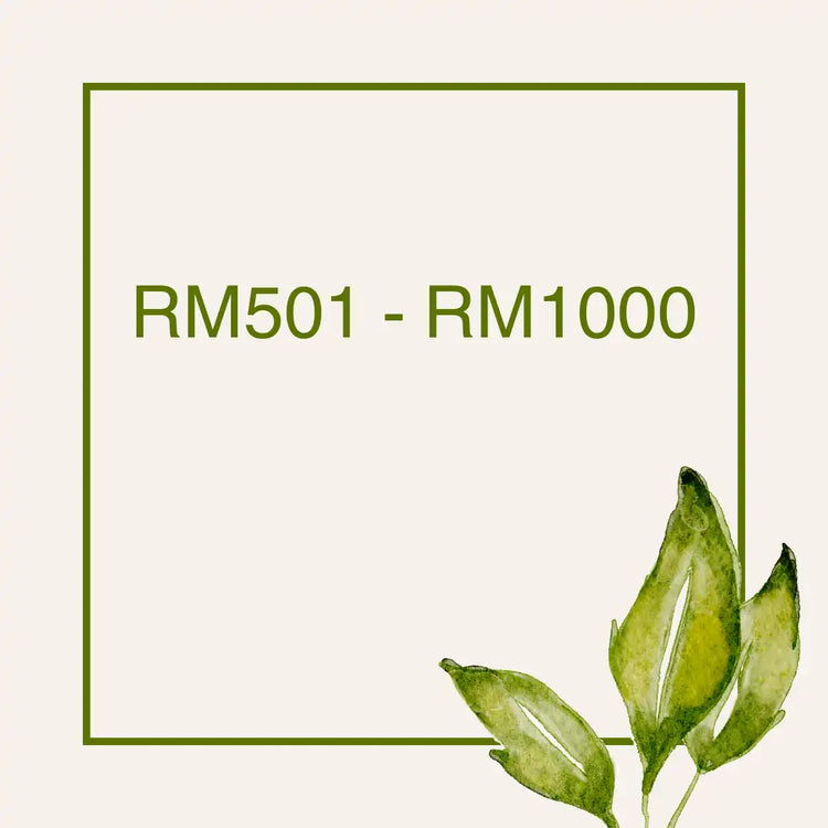 RM501 to RM1000