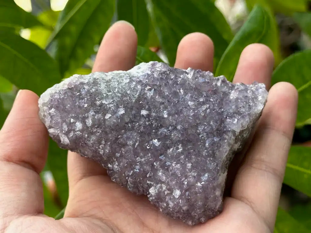 Bolivia Amethyst Cluster High Grade 100% Natural Crystal Gemstone for Prosperity and Abundance Fengshui - JING WEN CRYSTAL