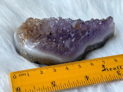 Bolivia Amethyst Cluster High Grade 100% Natural Crystal Gemstone for Prosperity and Abundance Fengshui - JING WEN CRYSTAL