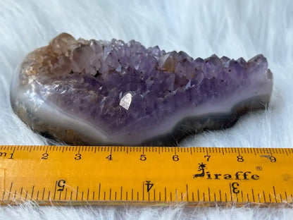 Bolivia Amethyst Cluster High Grade 100% Natural Crystal Gemstone for Prosperity and Abundance Fengshui - JING WEN CRYSTAL