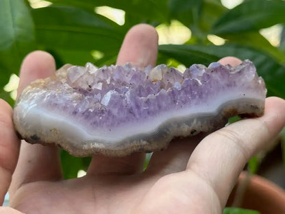 Bolivia Amethyst Cluster High Grade 100% Natural Crystal Gemstone for Prosperity and Abundance Fengshui - JING WEN CRYSTAL