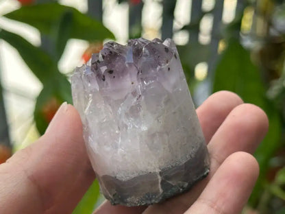 Bolivia Amethyst Cluster High Grade 100% Natural Crystal Gemstone for Prosperity and Abundance Fengshui - JING WEN CRYSTAL