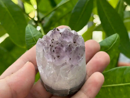 Bolivia Amethyst Cluster High Grade 100% Natural Crystal Gemstone for Prosperity and Abundance Fengshui - JING WEN CRYSTAL