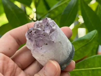 Bolivia Amethyst Cluster High Grade 100% Natural Crystal Gemstone for Prosperity and Abundance Fengshui - JING WEN CRYSTAL