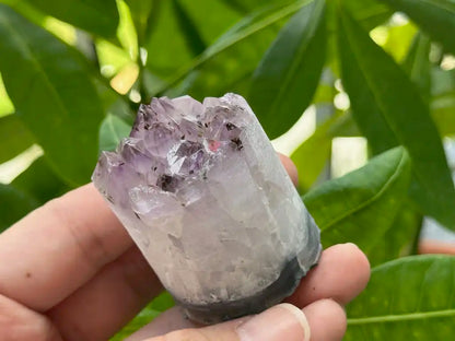 Bolivia Amethyst Cluster High Grade 100% Natural Crystal Gemstone for Prosperity and Abundance Fengshui - JING WEN CRYSTAL