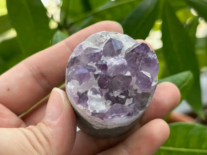 Bolivia Amethyst Cluster High Grade 100% Natural Crystal Gemstone for Prosperity and Abundance Fengshui - JING WEN CRYSTAL