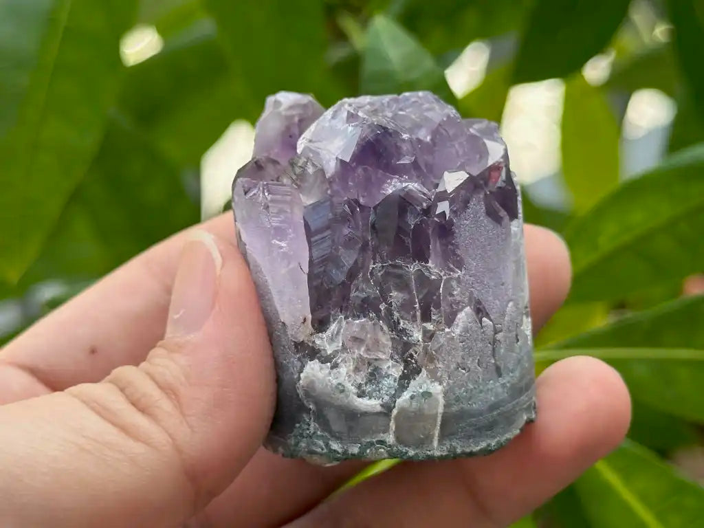Bolivia Amethyst Cluster High Grade 100% Natural Crystal Gemstone for Prosperity and Abundance Fengshui - JING WEN CRYSTAL
