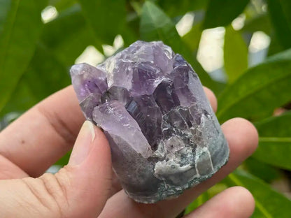 Bolivia Amethyst Cluster High Grade 100% Natural Crystal Gemstone for Prosperity and Abundance Fengshui - JING WEN CRYSTAL