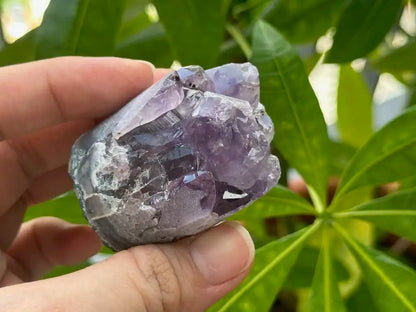 Bolivia Amethyst Cluster High Grade 100% Natural Crystal Gemstone for Prosperity and Abundance Fengshui - JING WEN CRYSTAL