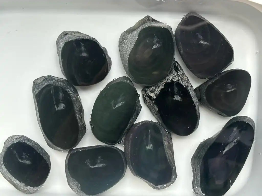 Brazil Rainbow Obsidian Raw Stone Semi Polish 4-5cm 100% Natural Crystal Gemstone - JING WEN CRYSTAL