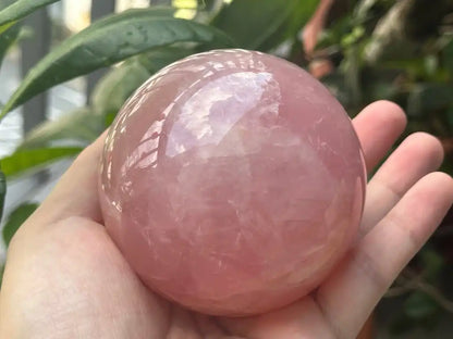 Madagascar Rose Quartz in Star Quartz Sphere Ball 100% Natural Crystal Gemstone - JING WEN CRYSTAL