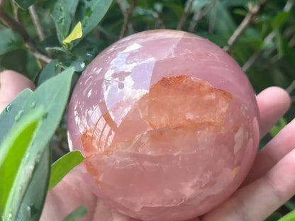 Madagascar Rose Quartz in Star Quartz Sphere Ball 100% Natural Crystal Gemstone - JING WEN CRYSTAL