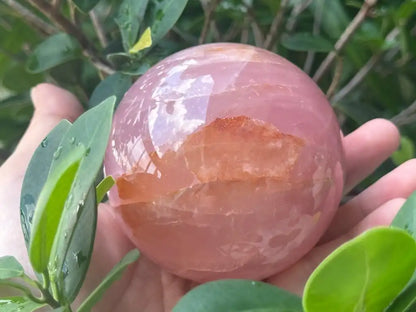 Madagascar Rose Quartz in Star Quartz Sphere Ball 100% Natural Crystal Gemstone - JING WEN CRYSTAL