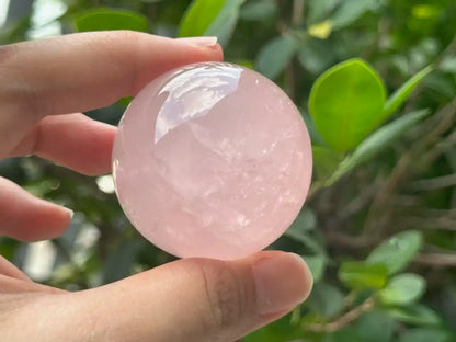 Madagascar Rose Quartz in Star Quartz Sphere Ball 100% Natural Crystal Gemstone - JING WEN CRYSTAL