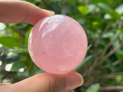 Madagascar Rose Quartz in Star Quartz Sphere Ball 100% Natural Crystal Gemstone - JING WEN CRYSTAL