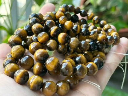 India Yellow Tiger’s Eye Bracelet A Grade 100% Natural Crystal Gemstone - JING WEN CRYSTAL