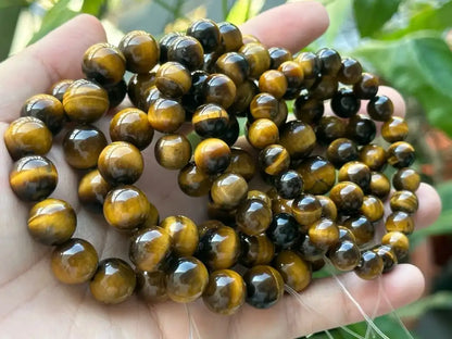 India Yellow Tiger’s Eye Bracelet A Grade 100% Natural Crystal Gemstone - JING WEN CRYSTAL