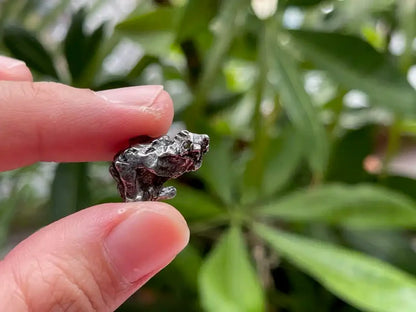 Argentina Campo del Ceilo Meteorite Raw with drilled hole 100% Natural Meteorite - JING WEN CRYSTAL