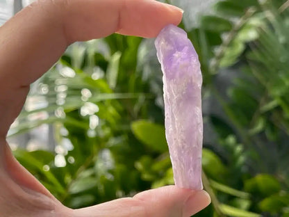 Brazil Amethyst Raw Pointer 100% Natural Crystal Gemstone - JING WEN CRYSTAL