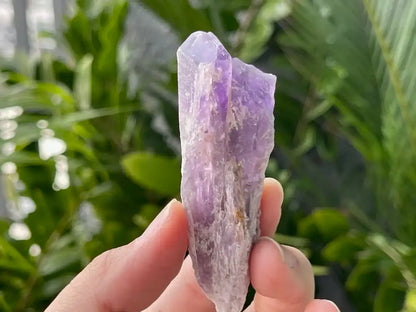 Brazil Amethyst Raw Pointer 100% Natural Crystal Gemstone - JING WEN CRYSTAL