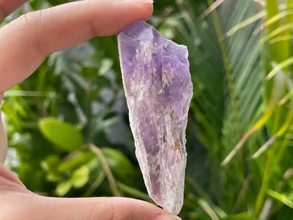 Brazil Amethyst Raw Pointer 100% Natural Crystal Gemstone - JING WEN CRYSTAL