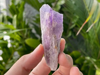 Brazil Amethyst Raw Pointer 100% Natural Crystal Gemstone - JING WEN CRYSTAL