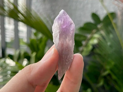 Brazil Amethyst Raw Pointer 100% Natural Crystal Gemstone - JING WEN CRYSTAL