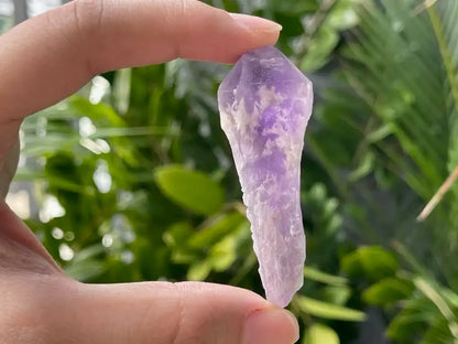 Brazil Amethyst Raw Pointer 100% Natural Crystal Gemstone - JING WEN CRYSTAL