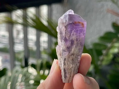 Brazil Amethyst Raw Pointer 100% Natural Crystal Gemstone - JING WEN CRYSTAL