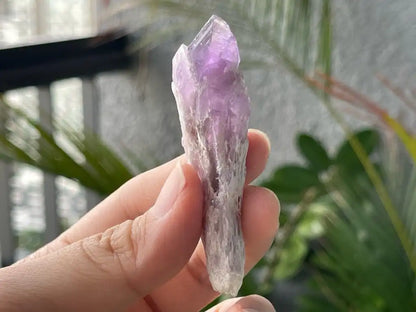 Brazil Amethyst Raw Pointer 100% Natural Crystal Gemstone - JING WEN CRYSTAL