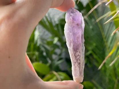 Brazil Amethyst Raw Pointer 100% Natural Crystal Gemstone - JING WEN CRYSTAL