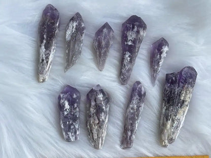 Brazil Amethyst Raw Pointer 100% Natural Crystal Gemstone - JING WEN CRYSTAL