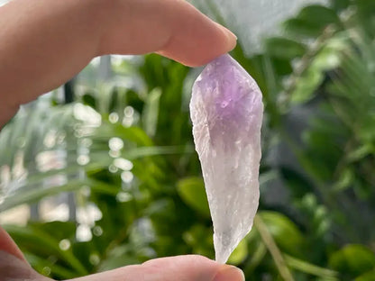 Brazil Amethyst Raw Pointer 100% Natural Crystal Gemstone - JING WEN CRYSTAL