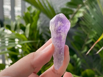 Brazil Amethyst Raw Pointer 100% Natural Crystal Gemstone - JING WEN CRYSTAL