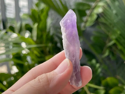 Brazil Amethyst Raw Pointer 100% Natural Crystal Gemstone - JING WEN CRYSTAL