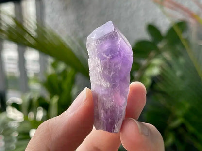 Brazil Amethyst Raw Pointer 100% Natural Crystal Gemstone - JING WEN CRYSTAL