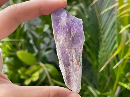 Brazil Amethyst Raw Pointer 100% Natural Crystal Gemstone - JING WEN CRYSTAL