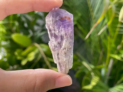 Brazil Amethyst Raw Pointer 100% Natural Crystal Gemstone - JING WEN CRYSTAL