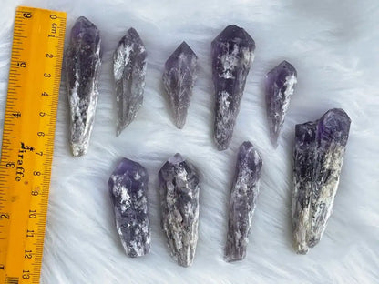 Brazil Amethyst Raw Pointer 100% Natural Crystal Gemstone - JING WEN CRYSTAL