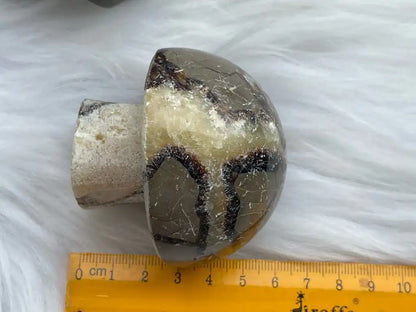 USA Septarian Mushroom Shape 100% Natural Crystal Gemstone - JING WEN CRYSTAL