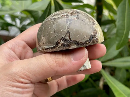 USA Septarian Mushroom Shape 100% Natural Crystal Gemstone - JING WEN CRYSTAL