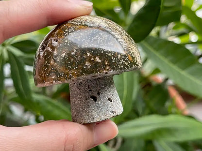 USA Septarian Mushroom Shape 100% Natural Crystal Gemstone - JING WEN CRYSTAL