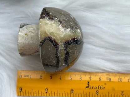 USA Septarian Mushroom Shape 100% Natural Crystal Gemstone - JING WEN CRYSTAL