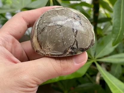 USA Septarian Mushroom Shape 100% Natural Crystal Gemstone - JING WEN CRYSTAL