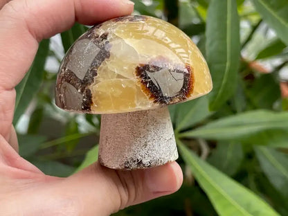 USA Septarian Mushroom Shape 100% Natural Crystal Gemstone - JING WEN CRYSTAL