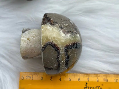 USA Septarian Mushroom Shape 100% Natural Crystal Gemstone - JING WEN CRYSTAL