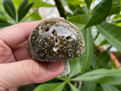 USA Septarian Mushroom Shape 100% Natural Crystal Gemstone - JING WEN CRYSTAL