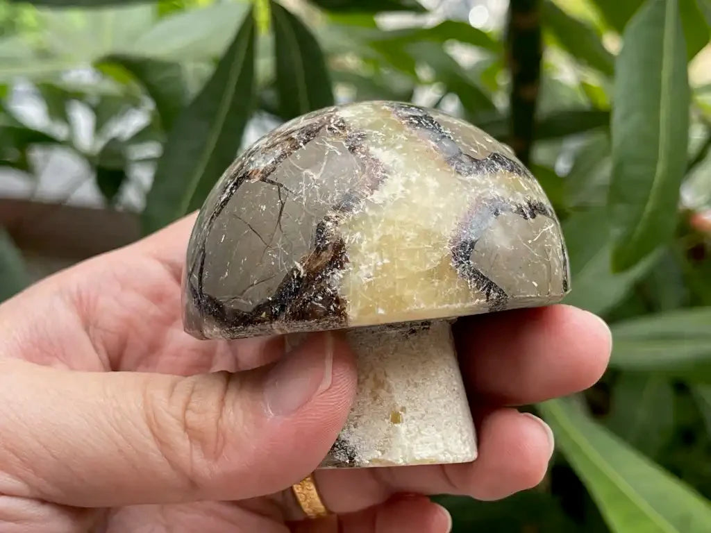 USA Septarian Mushroom Shape 100% Natural Crystal Gemstone - JING WEN CRYSTAL