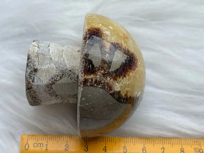 USA Septarian Mushroom Shape 100% Natural Crystal Gemstone - JING WEN CRYSTAL