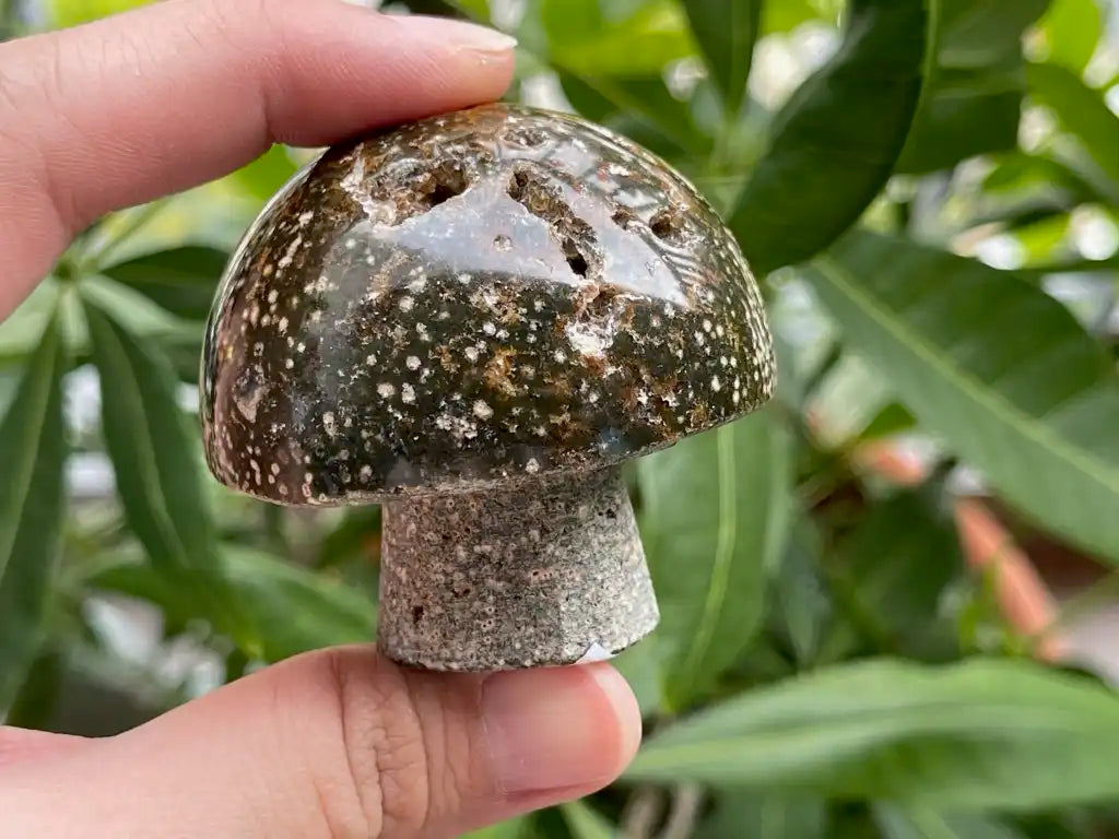 USA Septarian Mushroom Shape 100% Natural Crystal Gemstone - JING WEN CRYSTAL